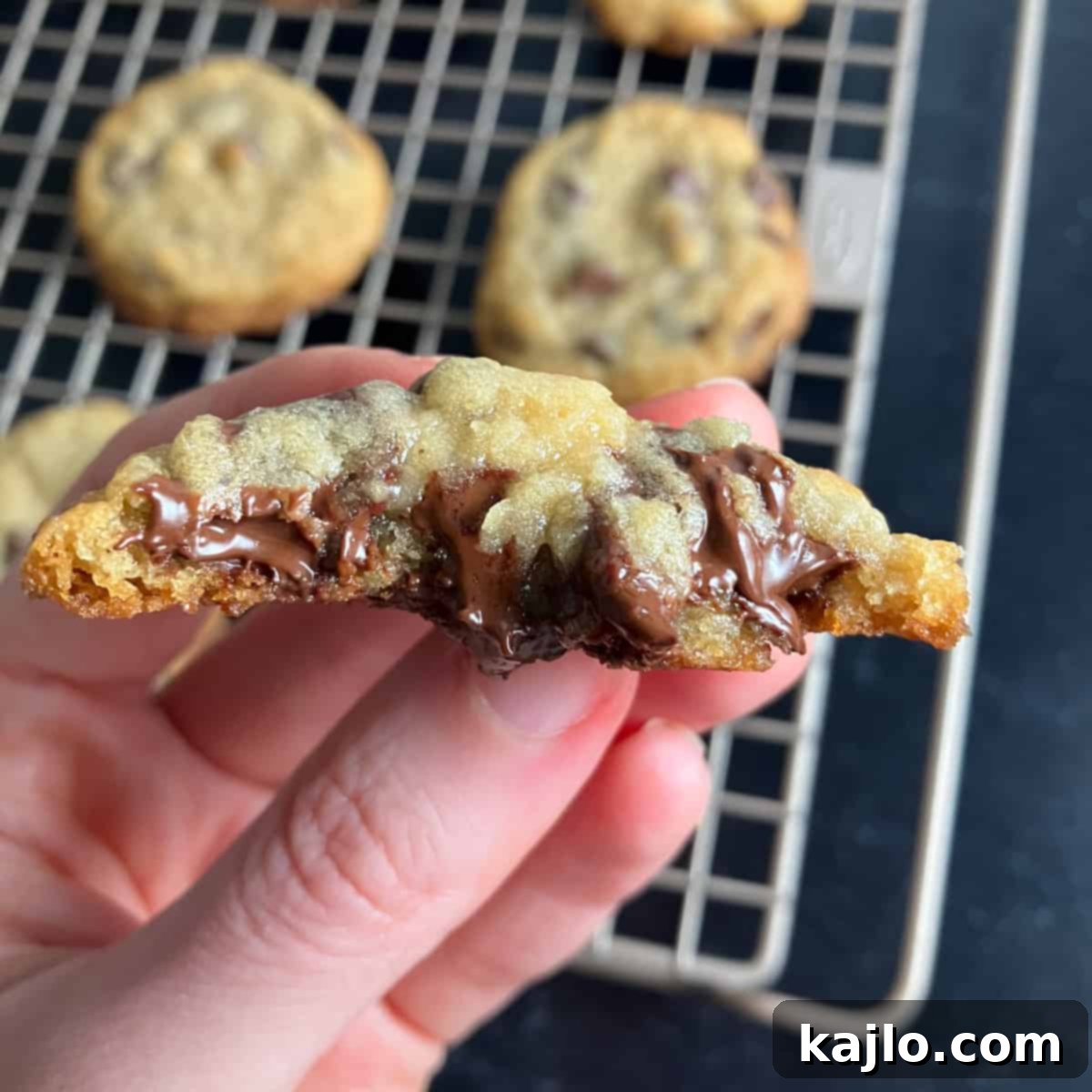 melty dairy free chocolate chip cookies