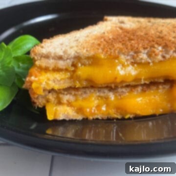 Quick Microwave Grilled Cheese 6 microwave grilled cheese recipe