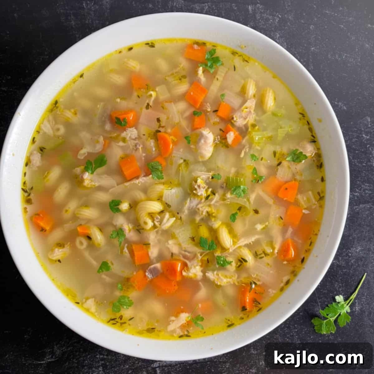 Chicken Back Magic: Stock, Soups & Savory Recipes 2 how to eat chicken backs