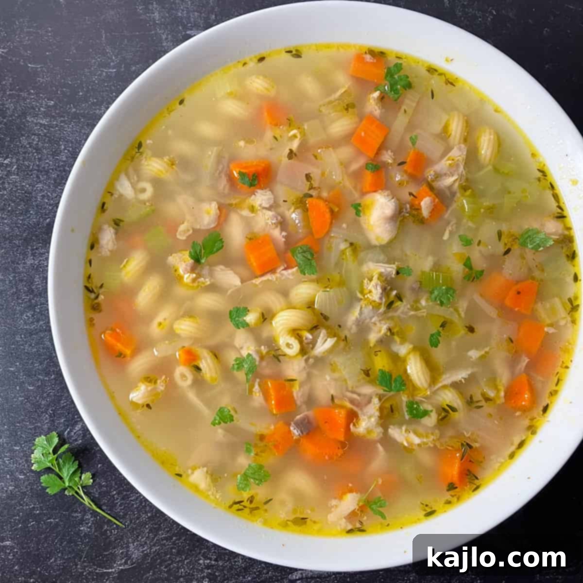 Chicken Back Magic: Stock, Soups & Savory Recipes 4 what to make with chicken backs