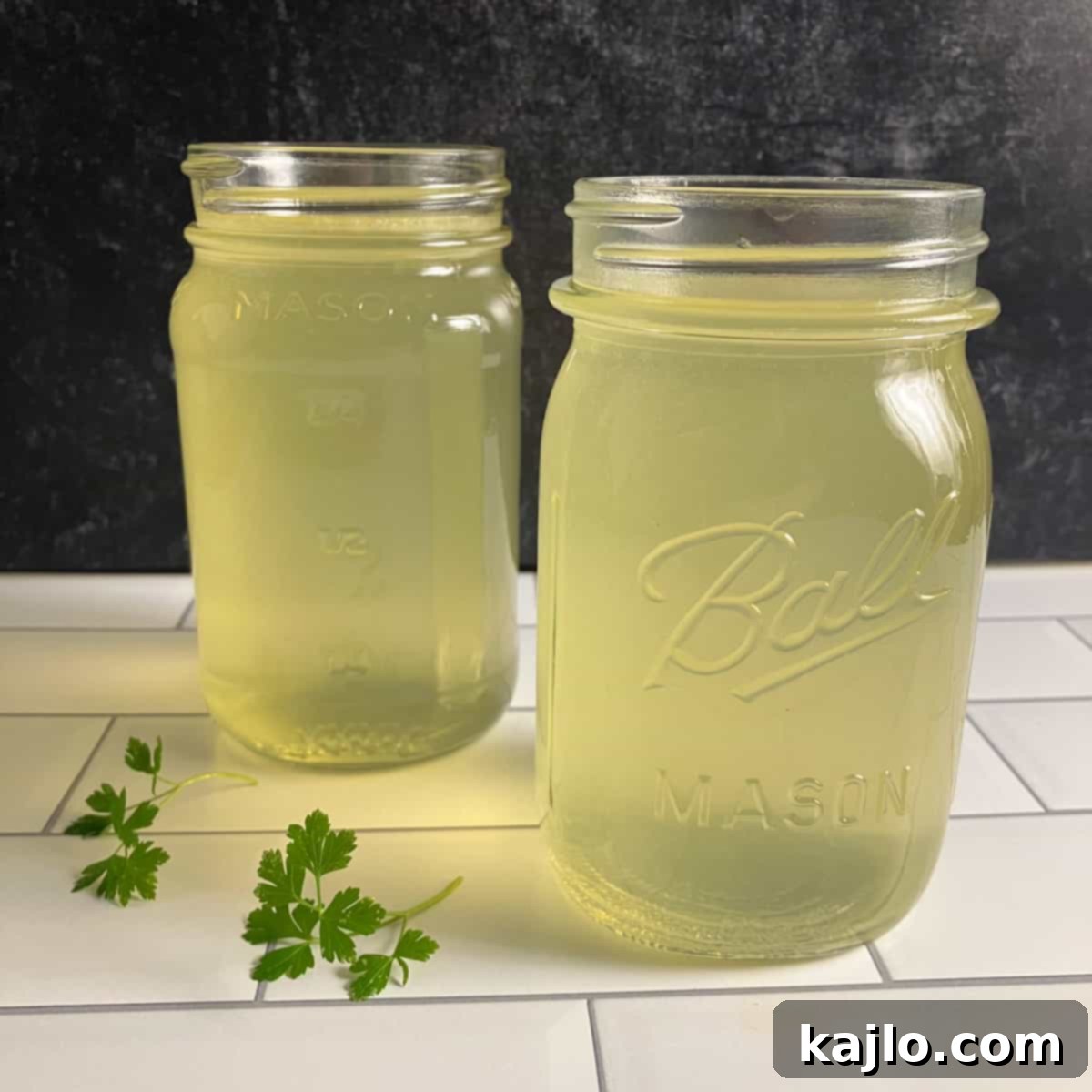 Chicken Back Magic: Stock, Soups & Savory Recipes 5 chicken back stock