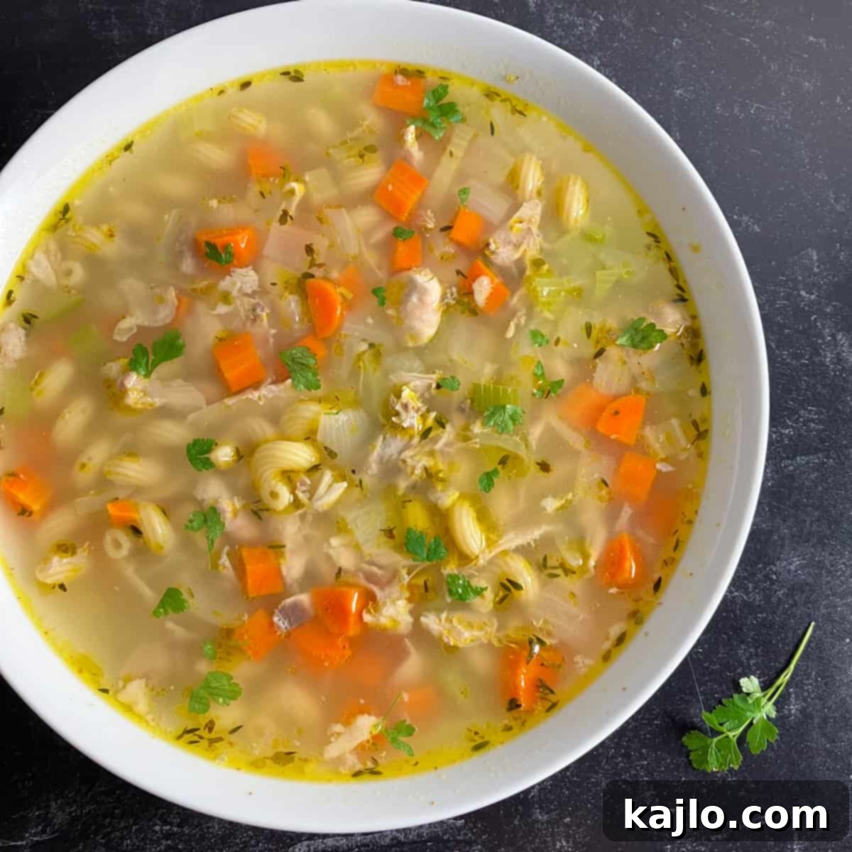 Chicken Back Magic: Stock, Soups & Savory Recipes 7 chicken back recipe