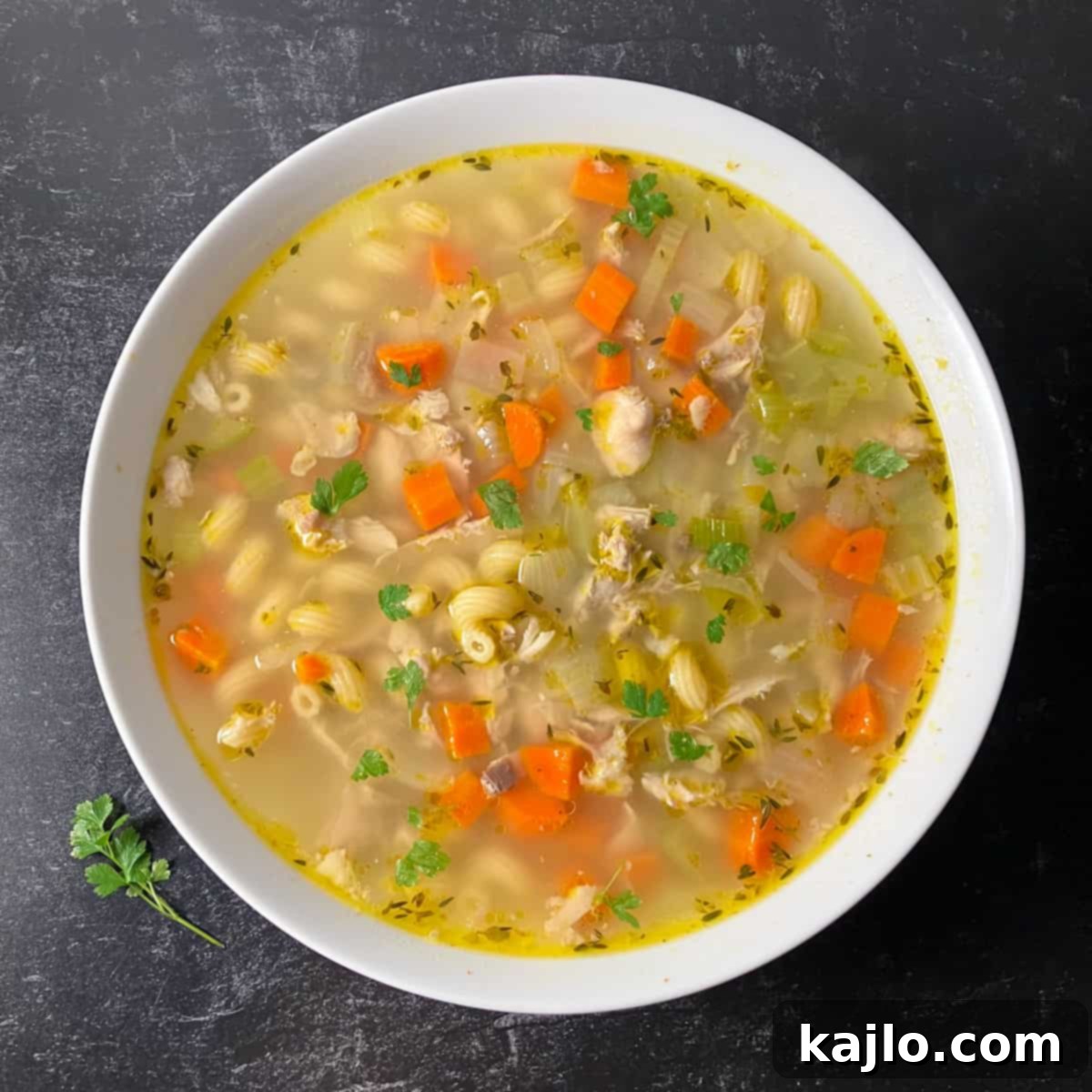 Chicken Back Magic: Stock, Soups & Savory Recipes 9 chicken back soup