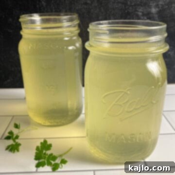 Chicken Back Magic: Stock, Soups & Savory Recipes 10 chicken back broth