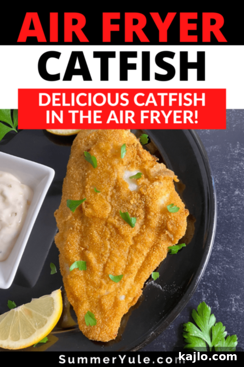 Air Fryer Catfish Final Dish