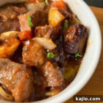 Air fryer stew with rich beef and vegetables.