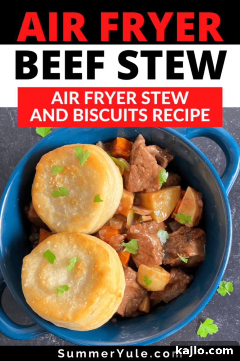 A beautifully plated air fryer beef stew, showing the rich texture and garnishes on a dark plate.