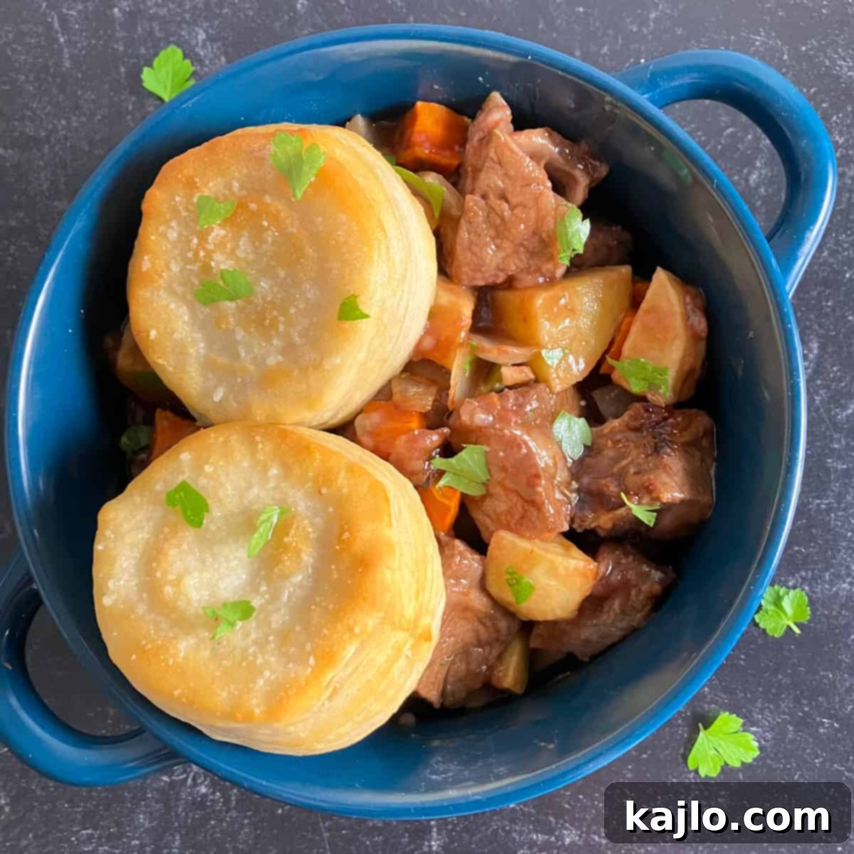A serving of air fryer beef stew in a bowl, with a spoon, garnished.