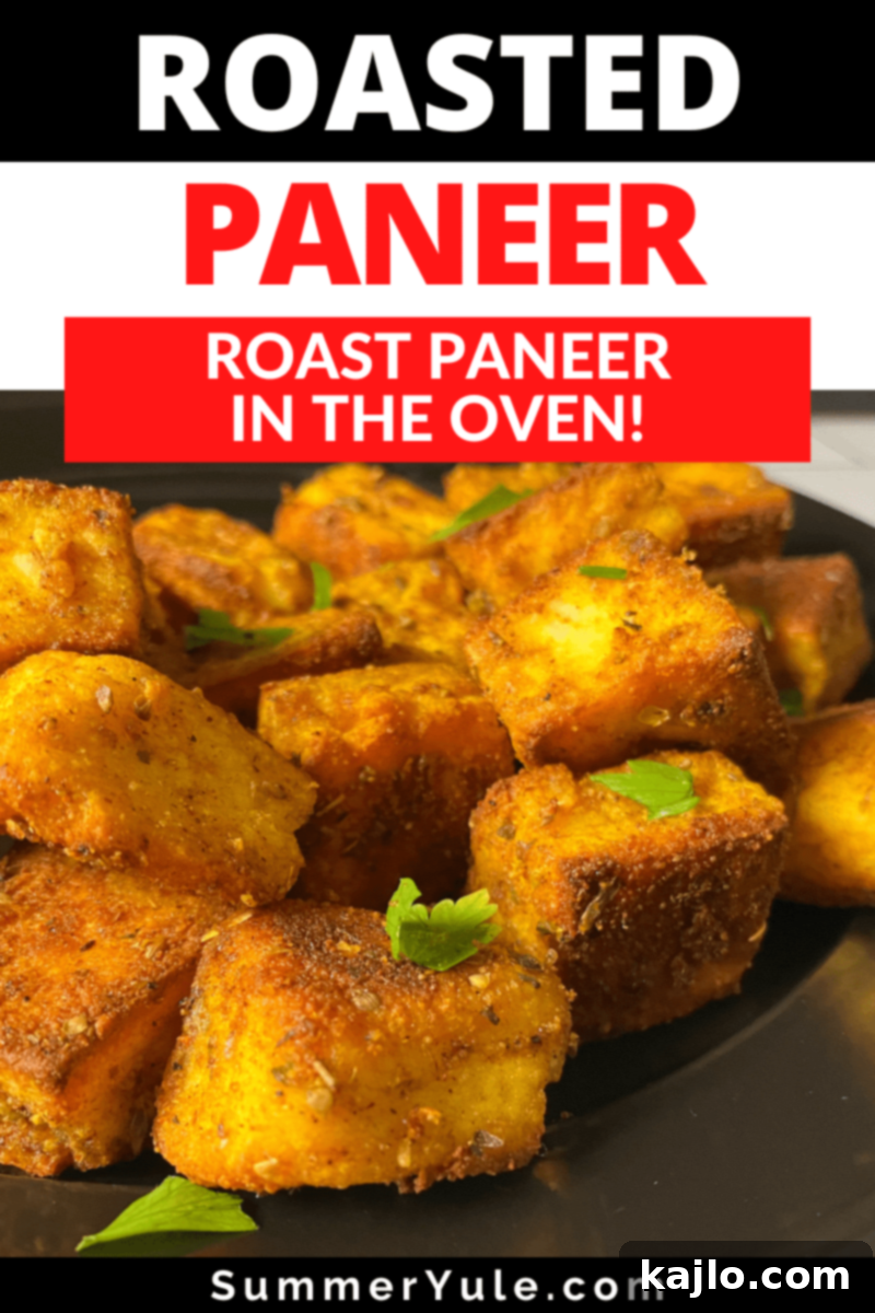 Oven Roasted Paneer 9 roasted paneer