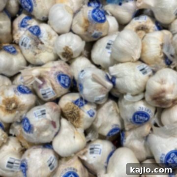 garlic salt substitutes