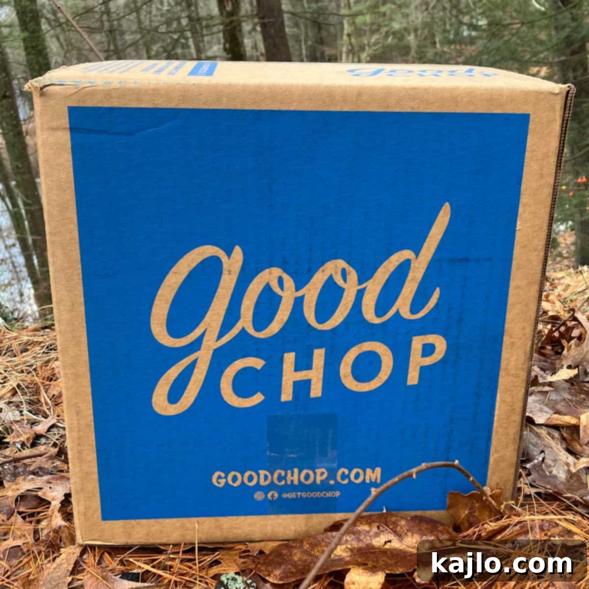 Good Chop 2025 Meat Delivery Box Review 2 Good Chop meat delivery box