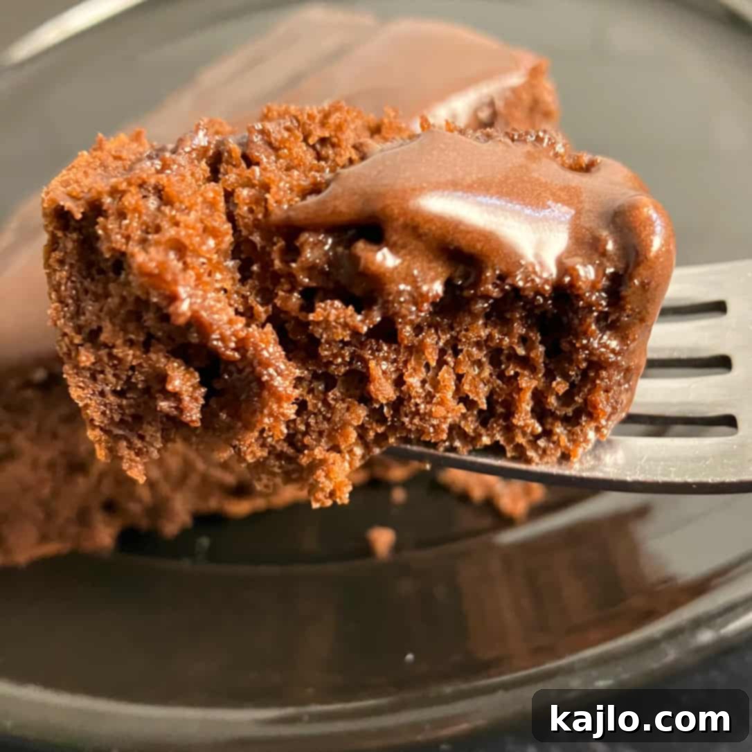 Indulgent Chocolate Protein Cake Recipe 2 protein cake