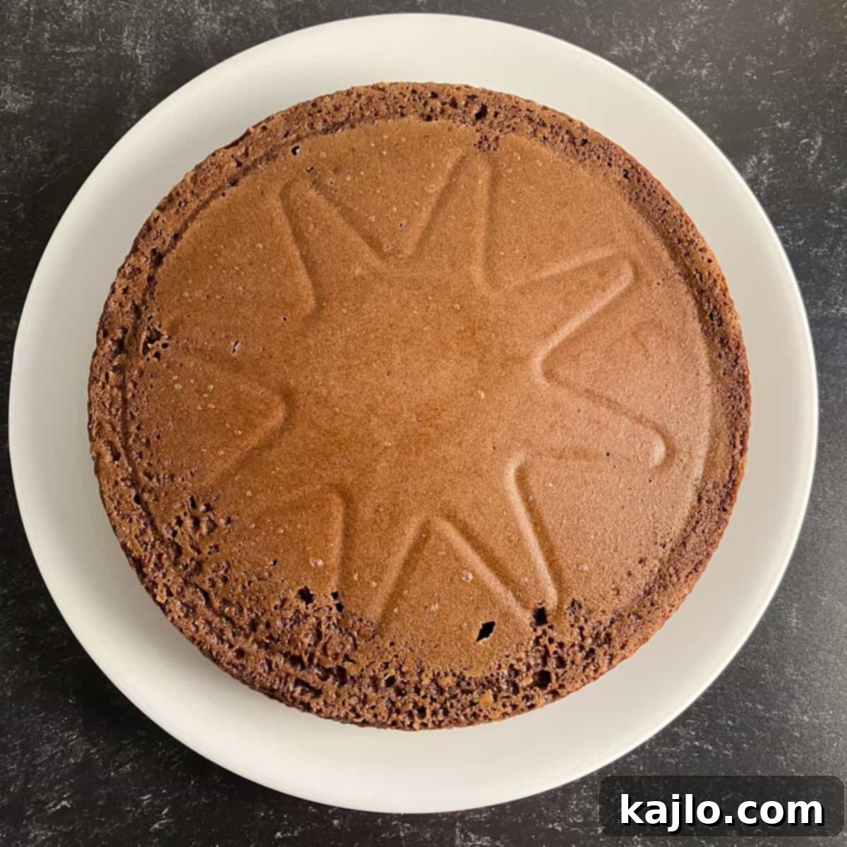 Indulgent Chocolate Protein Cake Recipe 6 protein cake no frosting