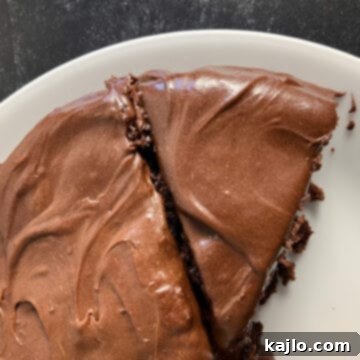 Indulgent Chocolate Protein Cake Recipe 9 protein cake recipe