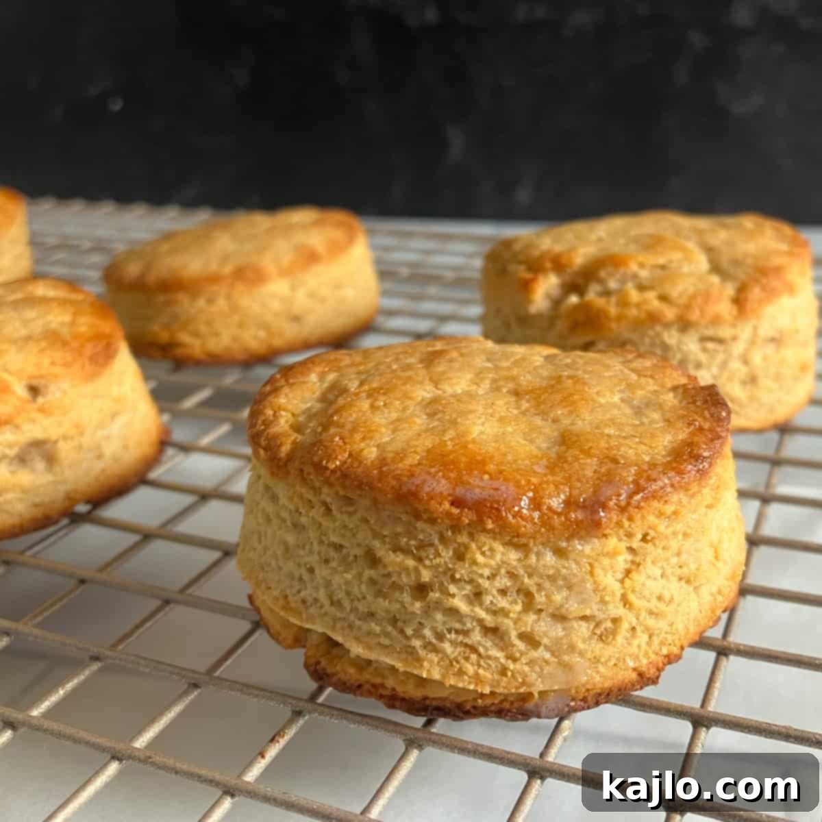 Homemade flaky protein biscuits perfect for a high-protein breakfast or snack.
