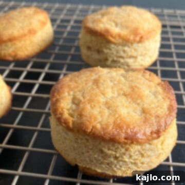 Delicious and healthy protein biscuits