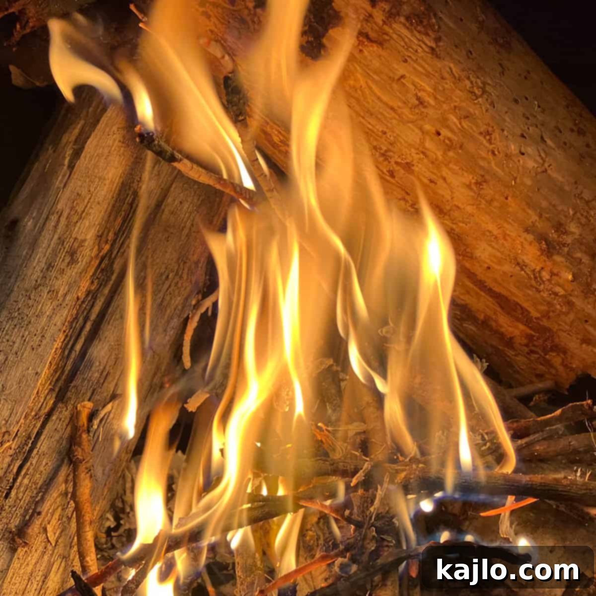 Ultimate Campfire Cooking System 2 cooking kit for camp fire