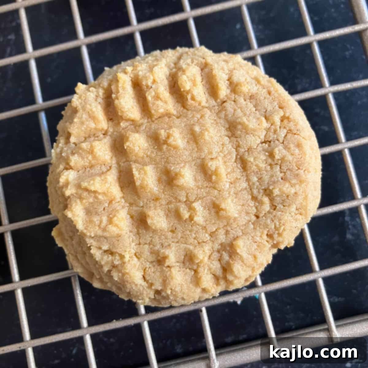 A plate of freshly baked Kodiak peanut butter cookies
