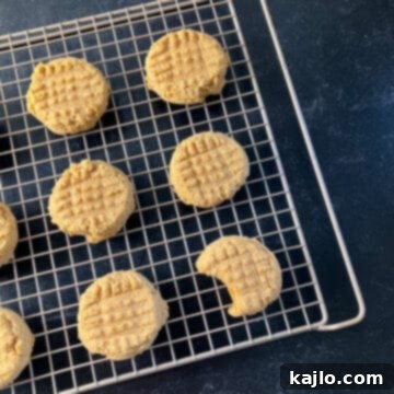 Kodiak peanut butter cookies recipe