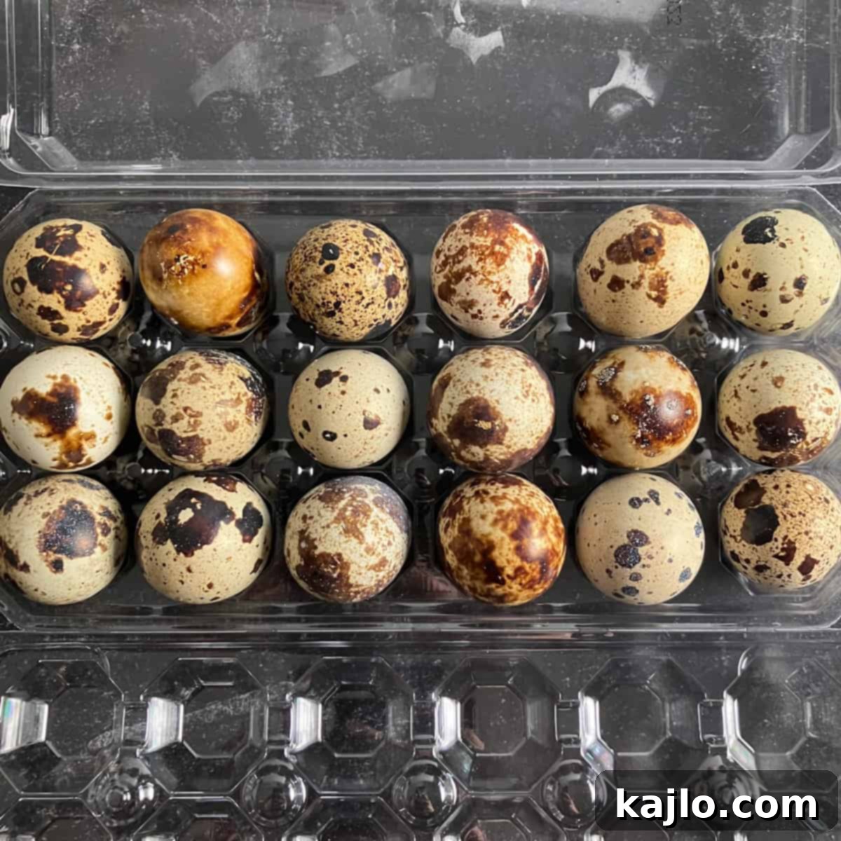 eggs quail