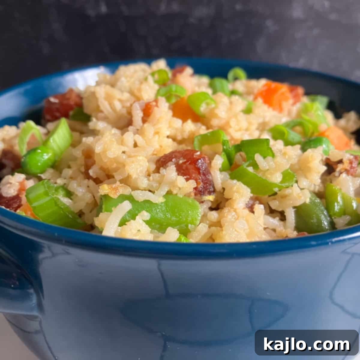 Perfect Leftover Pork Belly Fried Rice 5 how to use leftover pork belly