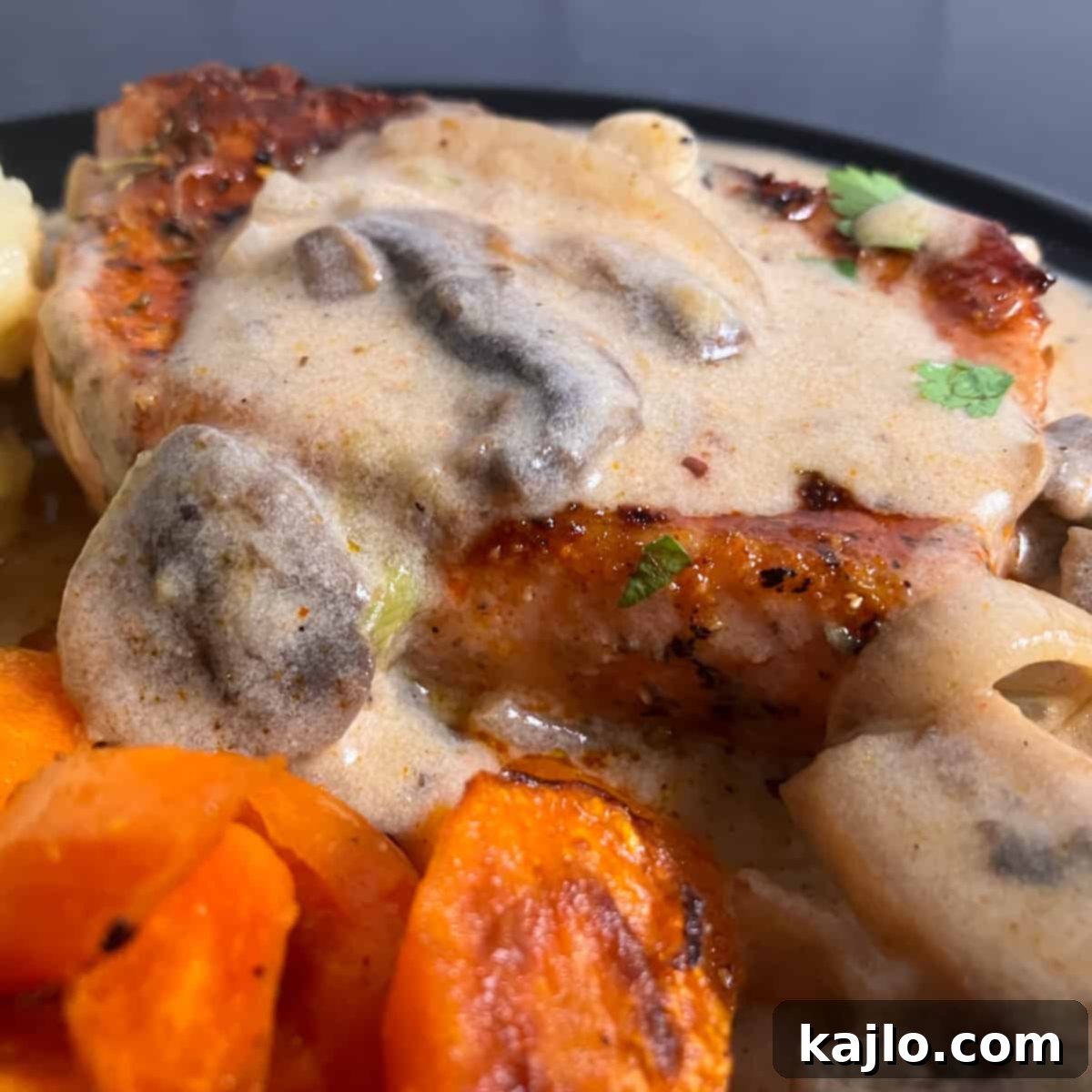 Tender Dutch Oven Pork Chops 6 dutch oven pork chop