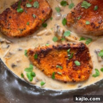 Tender Dutch Oven Pork Chops 9 dutch oven pork chops