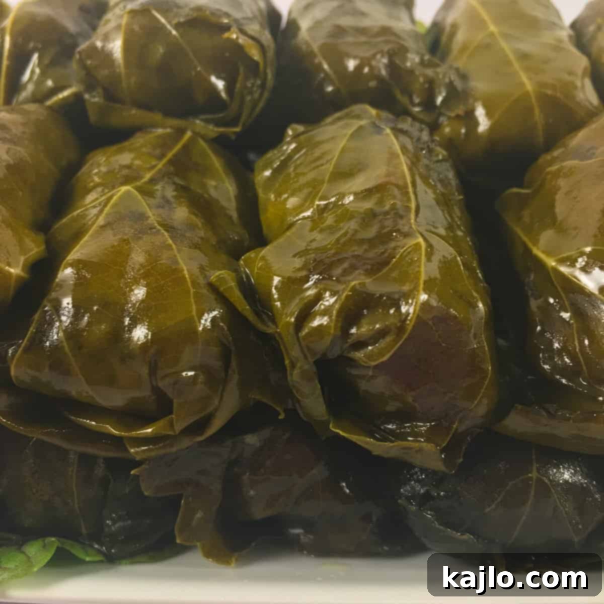 instant pot dolmades