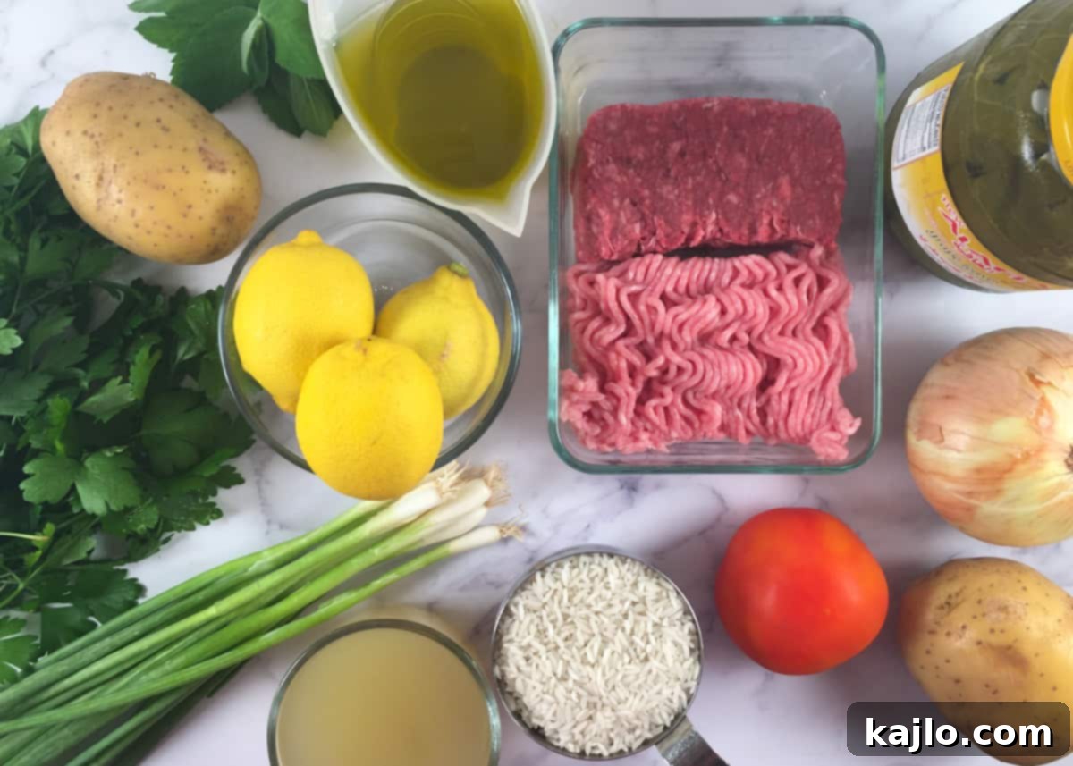 instant pot dolmas ingredients