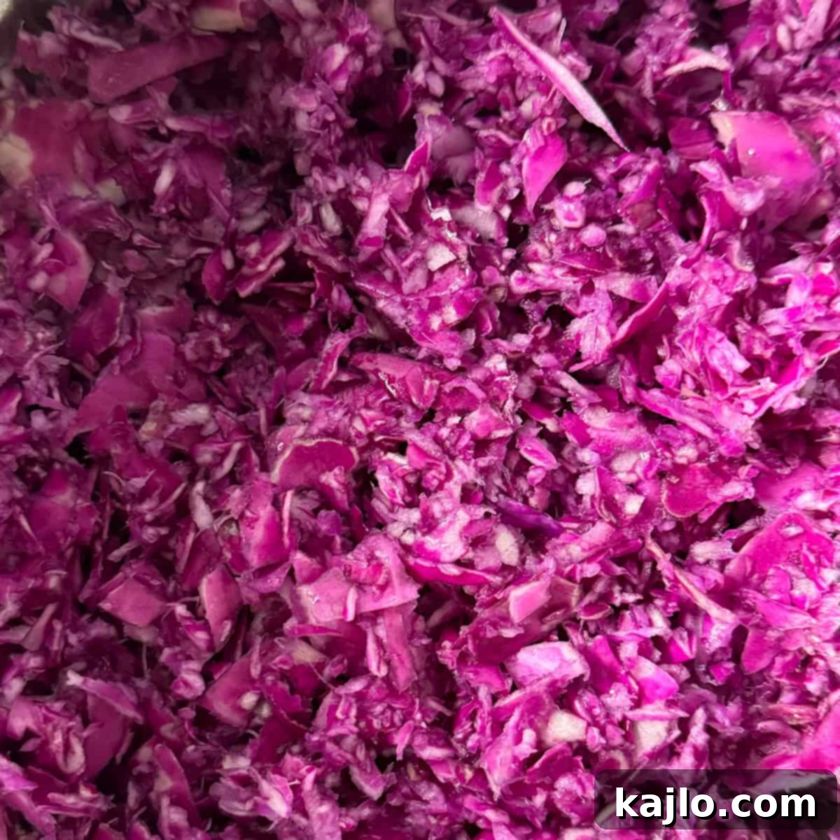 Shredded red cabbage