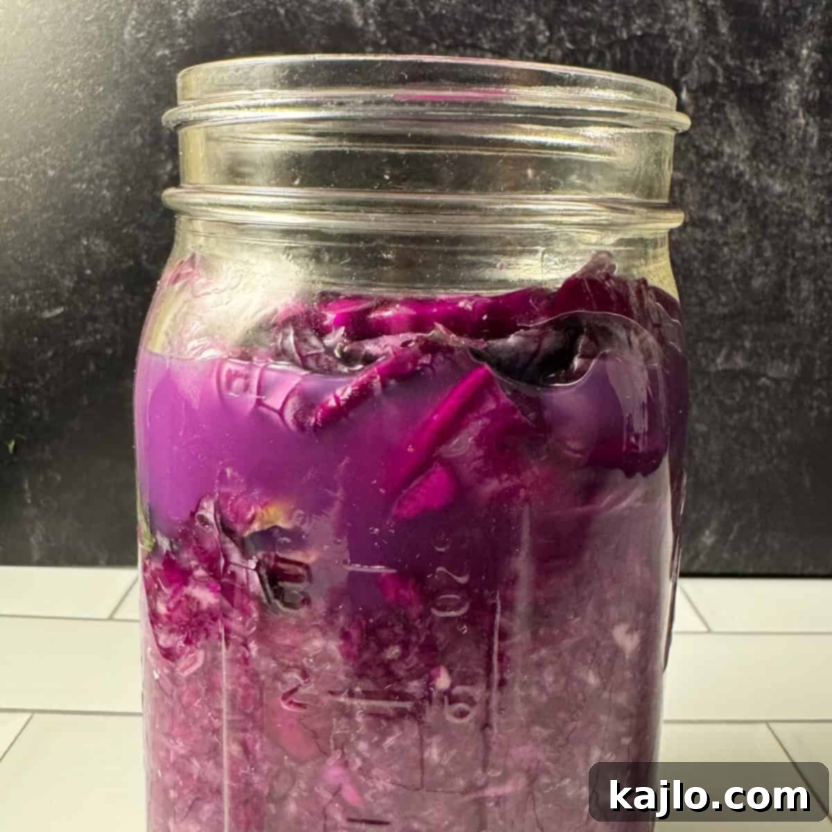 Purple sauerkraut packed into a jar with a weight