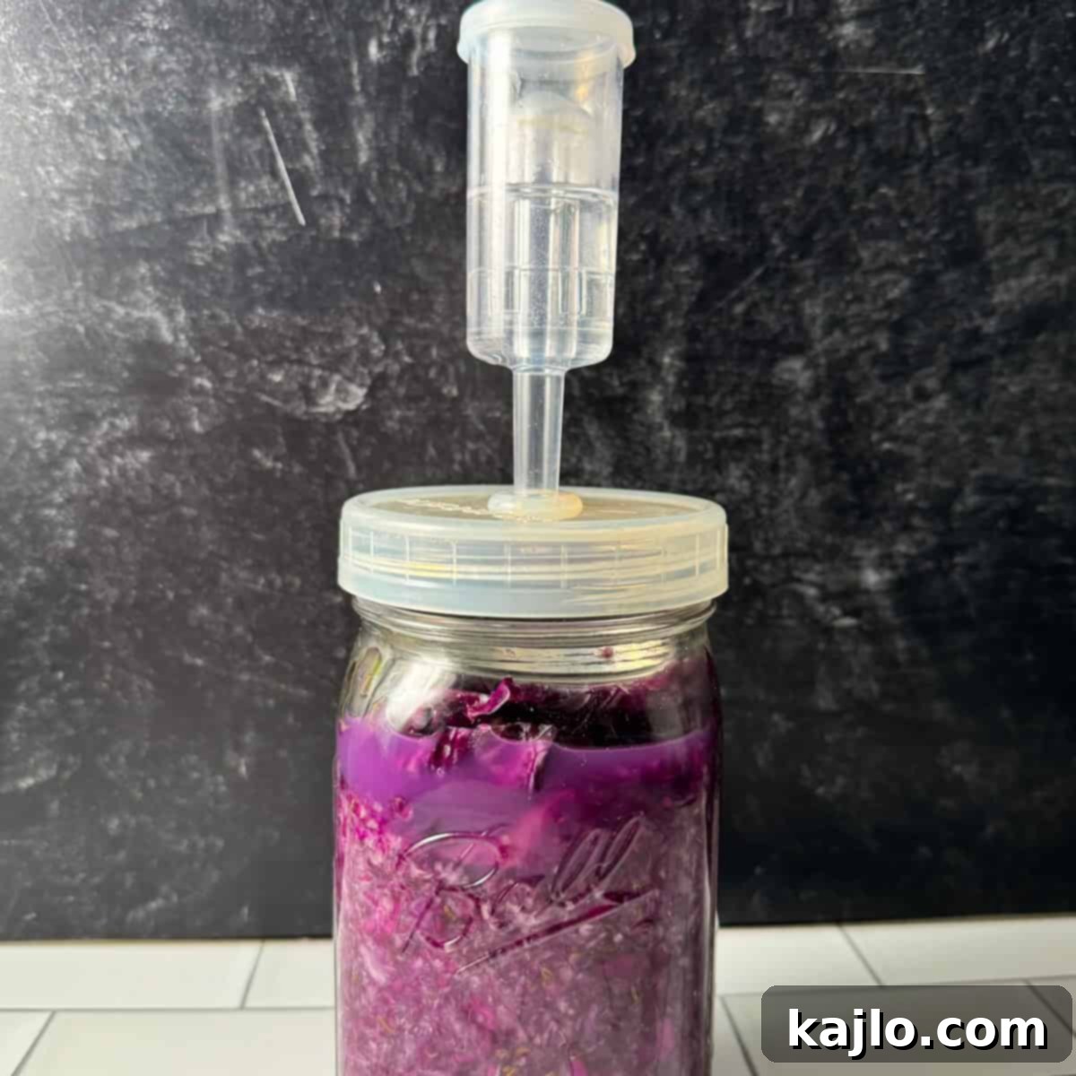 How to ferment red cabbage with an airlock lid
