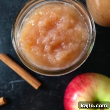 Pure Homemade Applesauce No Added Sugar 8 homemade unsweetened applesauce
