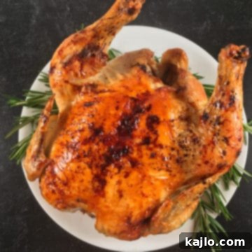 Ninja Foodi whole chicken