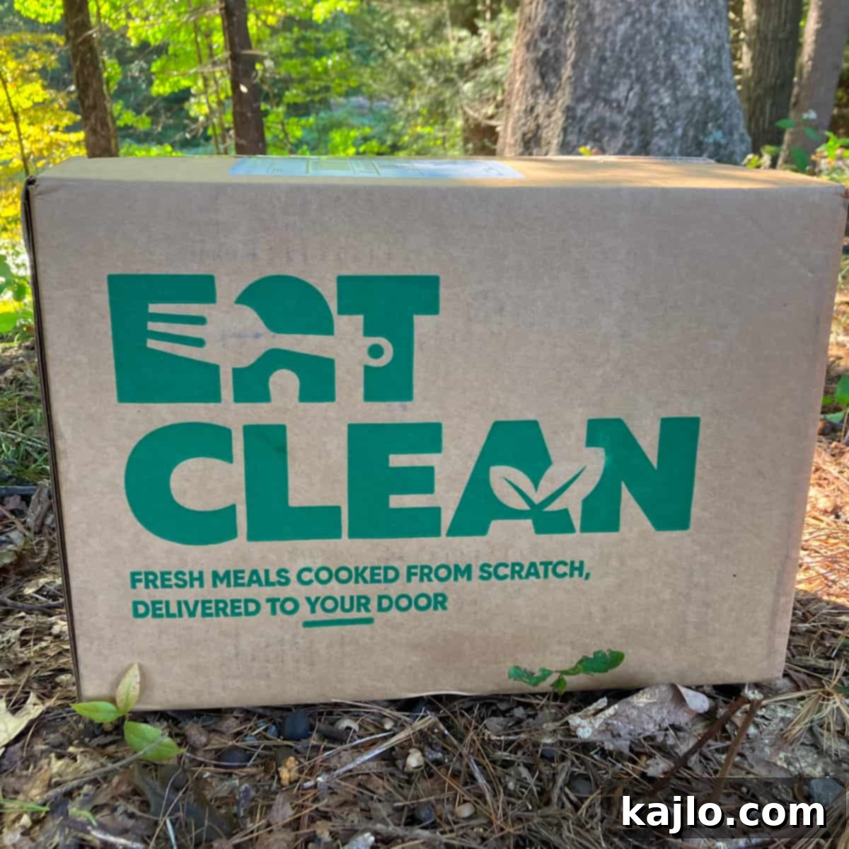 Eat Clean To Go Meal Delivery: A 2024 Review 3 eat clean box