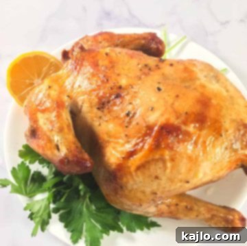 Rotisserie Chicken Perfection in the Air Fryer 6 air fryer rotisserie chicken