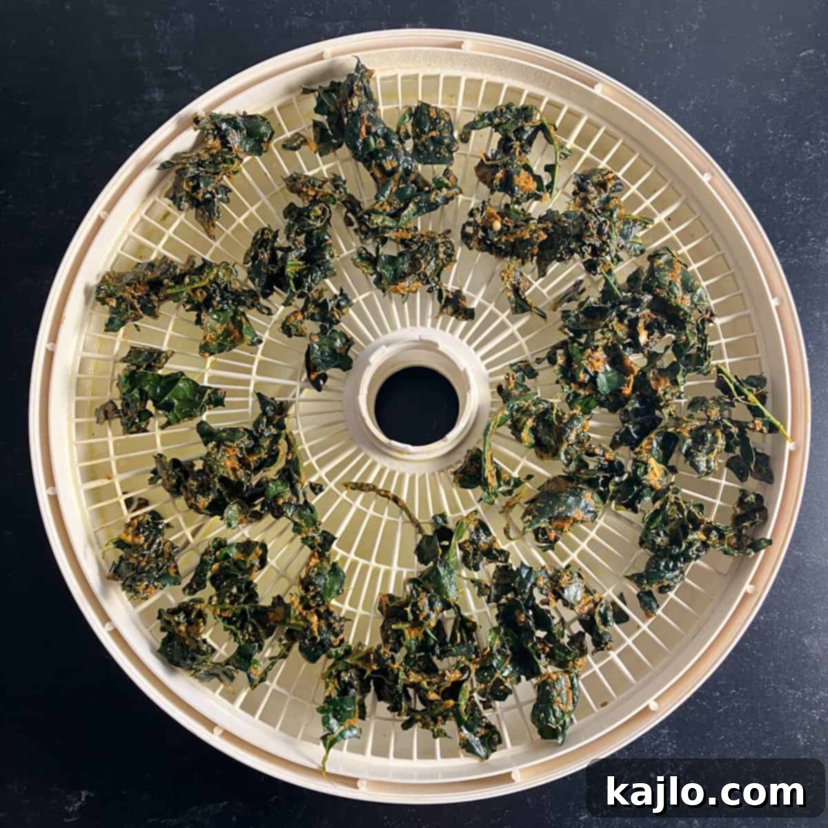 Vampire-Proof Dehydrated Garlic Kale Chips 5 Kale chips drying in dehydrator