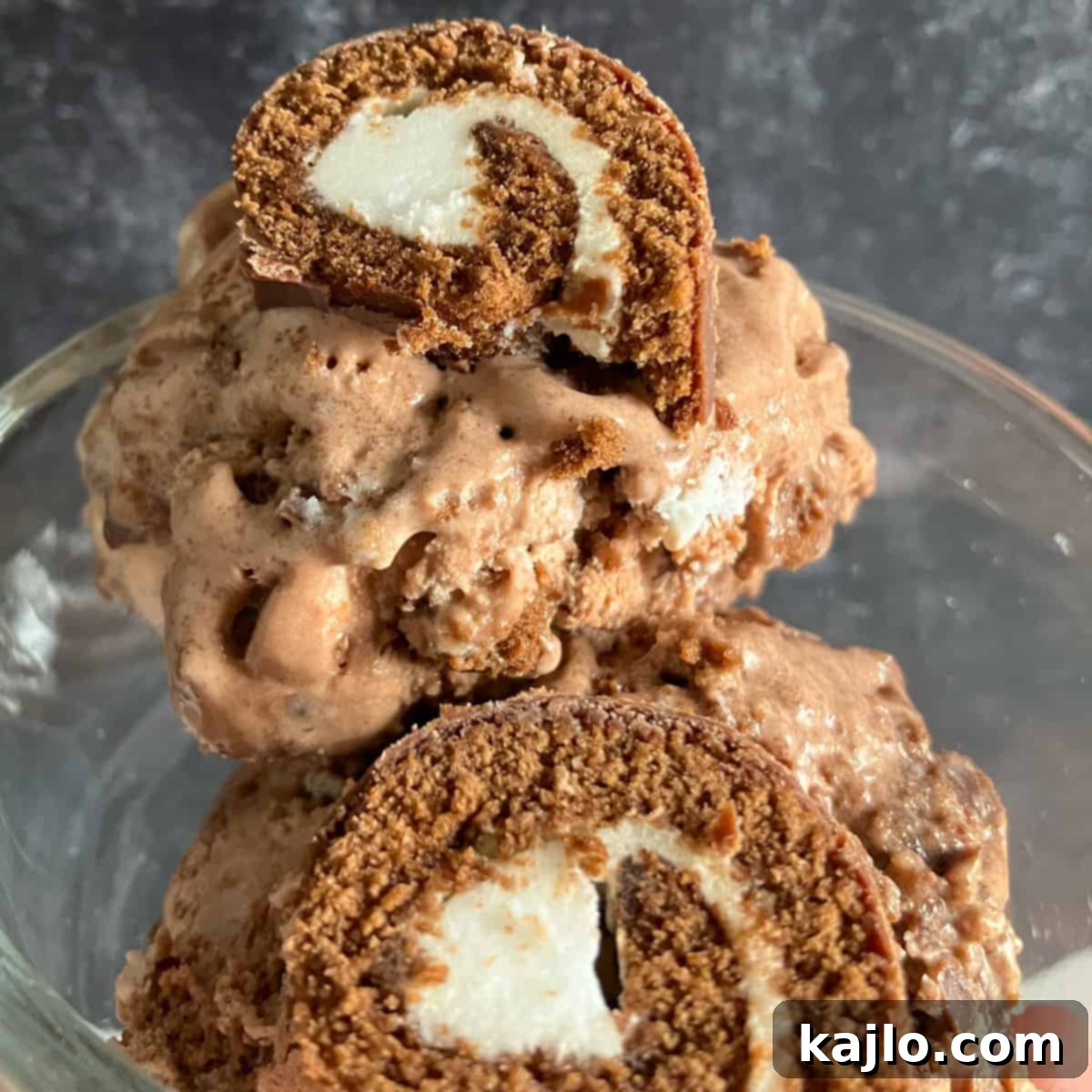 DIY Swiss Roll Ice Cream 2 Homemade Swiss Rolls Ice Cream with cake pieces and whipped cream swirls