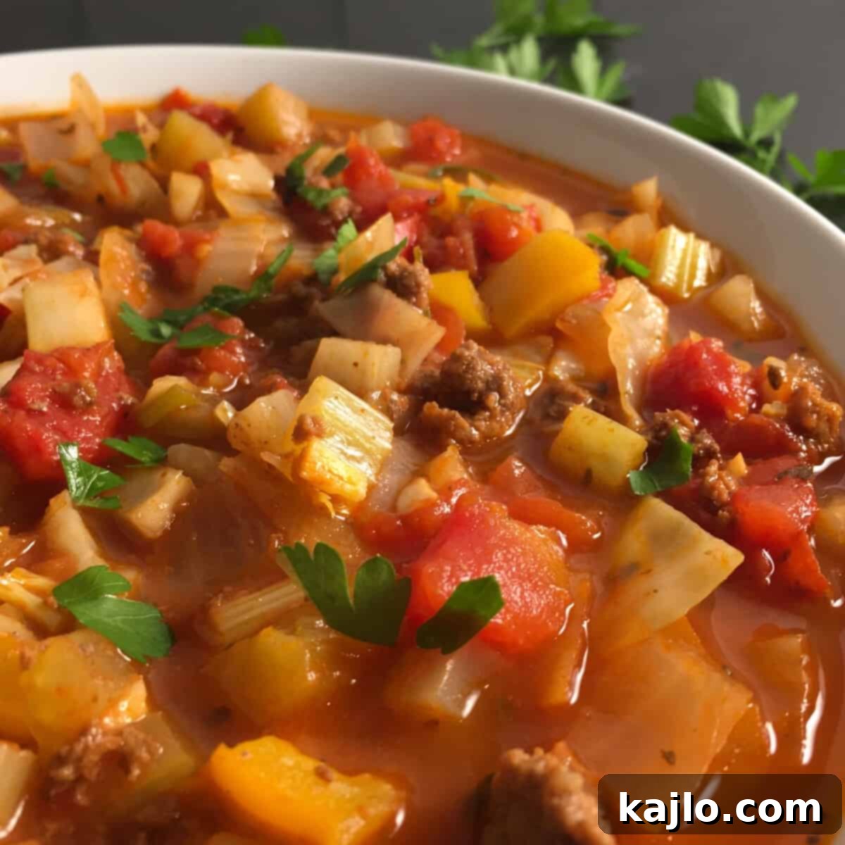 Protein-Powered Cabbage Soup Diet 5 original cabbage soup diet recipe
