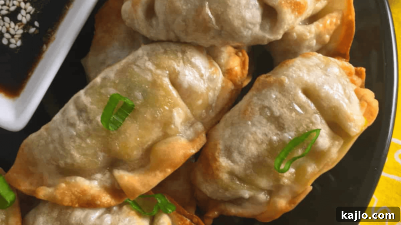 Effortless Air Fryer Dinners for Exhausted Evenings 2 Air Fryer Potstickers