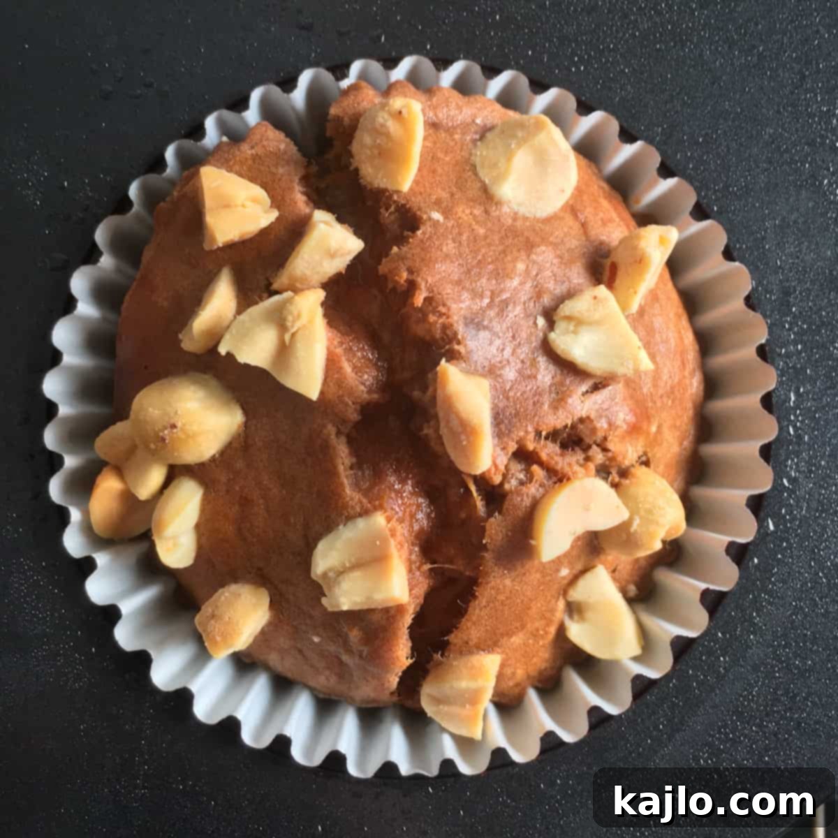 High Protein Air Fryer Muffins for Mass Gain 9 Peanut flour muffin: a single delicious and healthy muffin, showcasing its texture and appeal