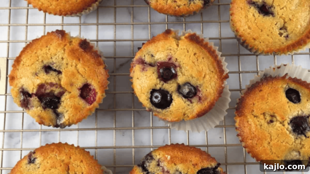 Delightful blueberry muffins made with Kodiak mix, perfect for a high-protein snack or breakfast.