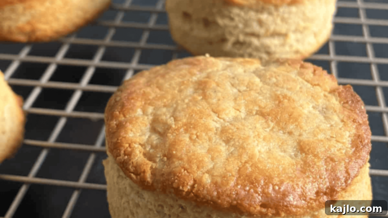 Golden-brown dinner biscuits made with Kodiak mix, ideal for savory meals.