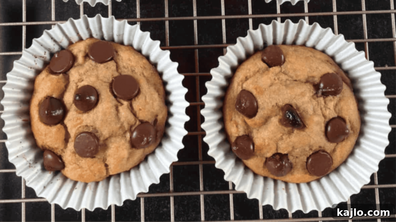 Delicious chocolate chip banana muffins made with Kodiak mix.