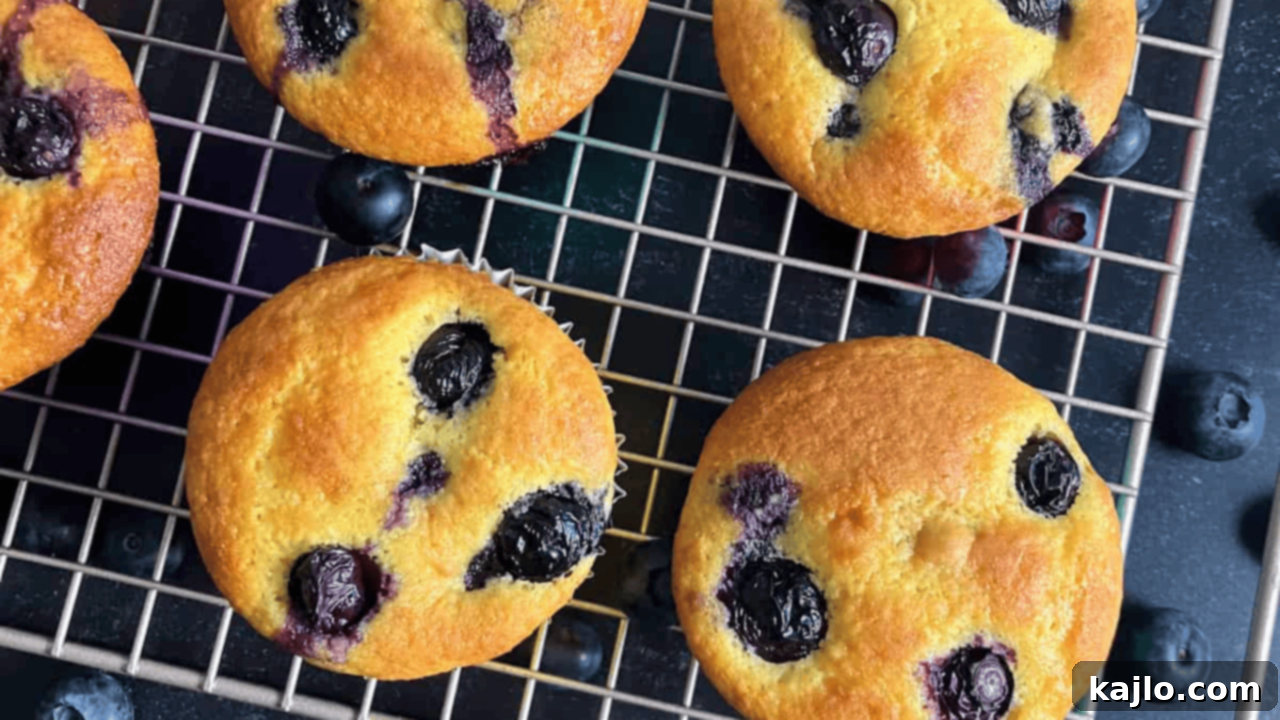 10 Breakfasts to Brighten Your Morning 4 Blueberry muffins