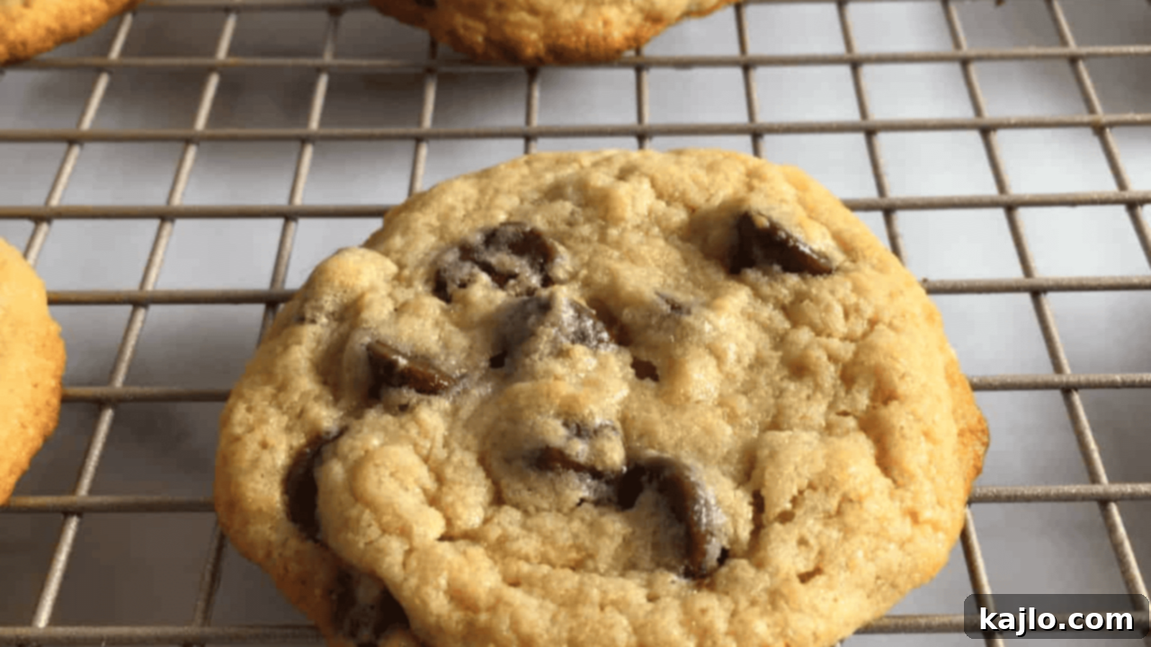 Kodiak Cakes Chocolate Chip Cookies