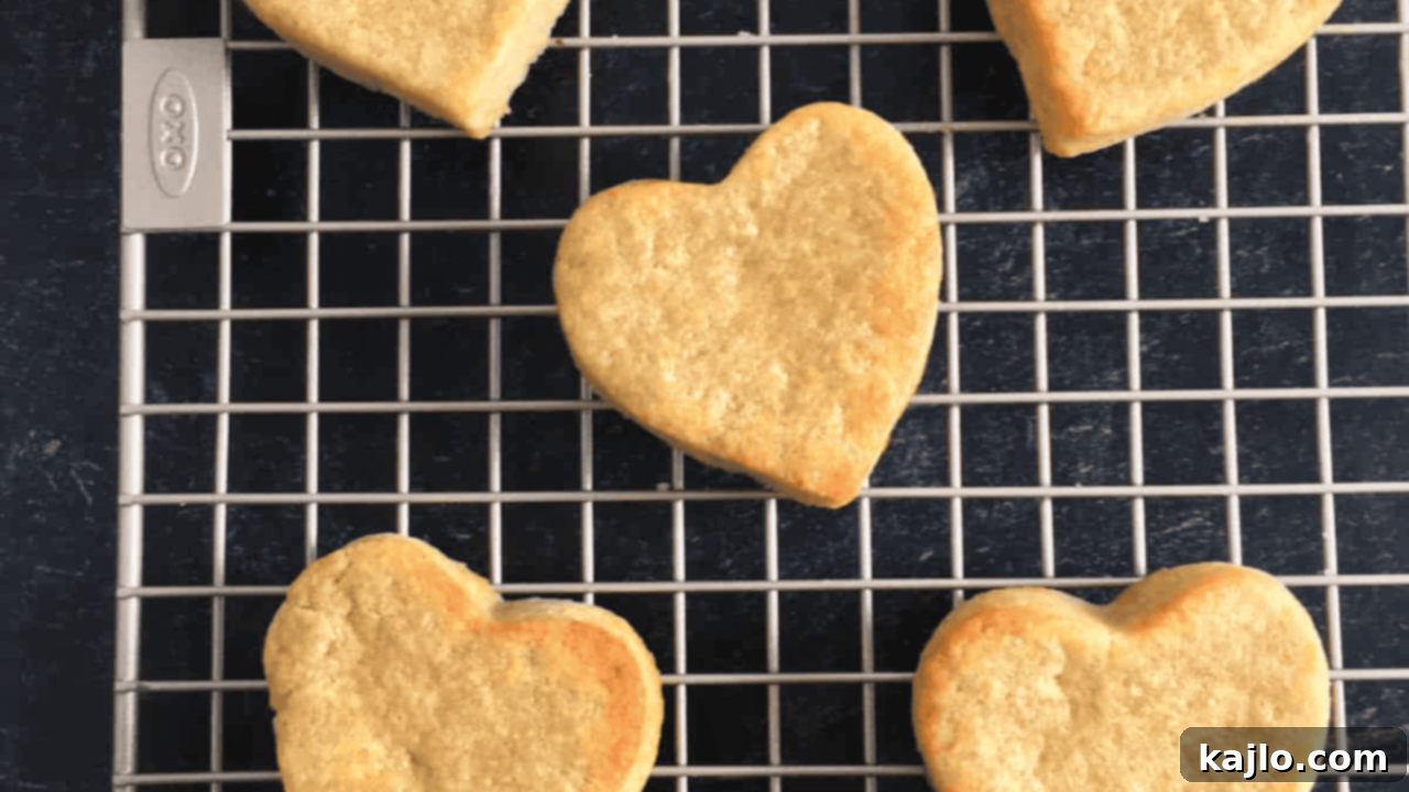 Air Fryer Sugar Cookies, plain and golden