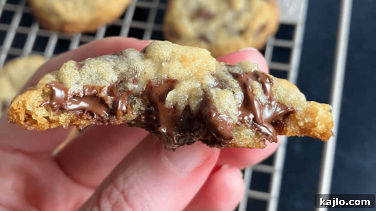 Dairy Free Chocolate Chip Cookies