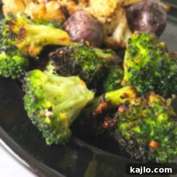 Crispy Air Fryer Frozen Vegetables 4 Air fryer broccoli square image