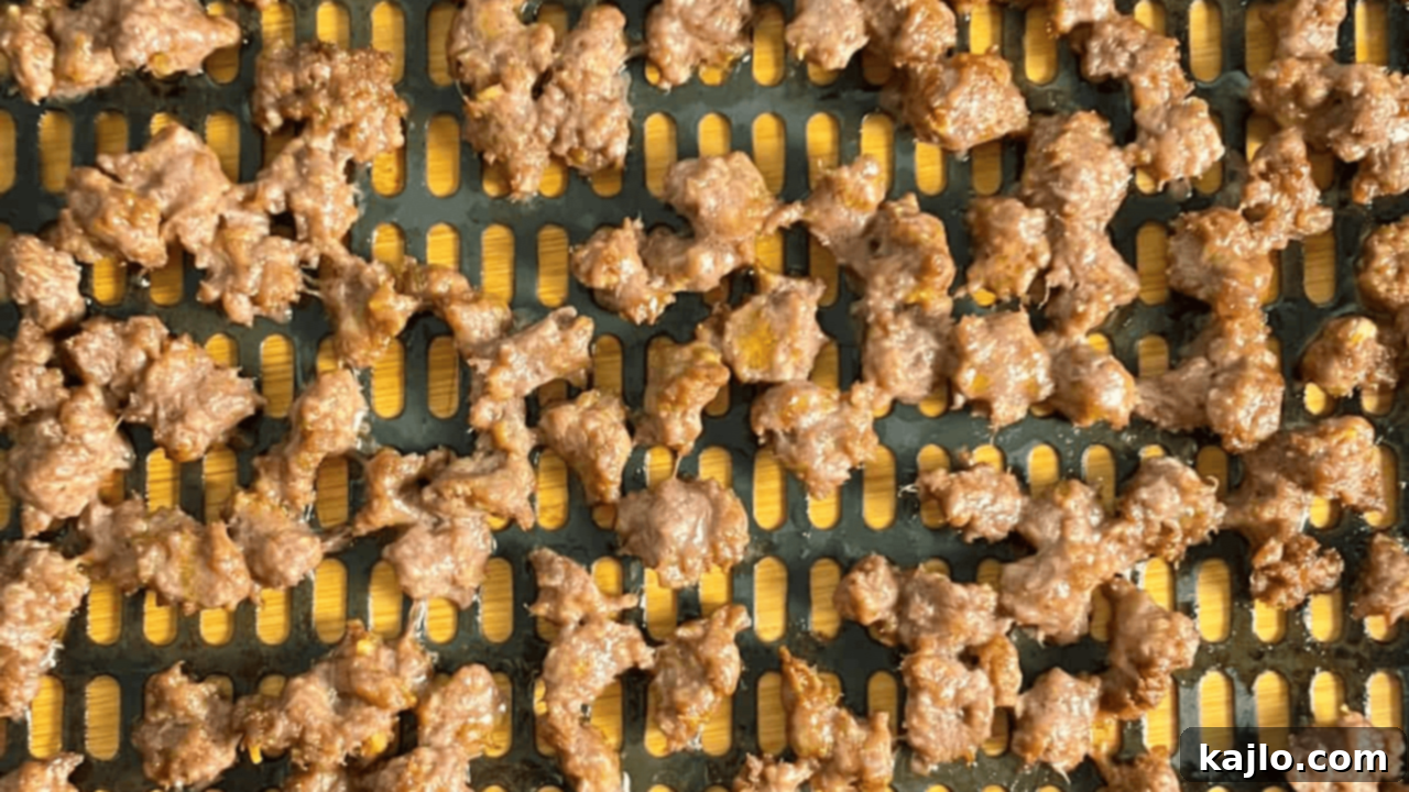 Two-Ingredient Wonders: Quick and Delicious 8 Seasoned ground taco meat in an air fryer